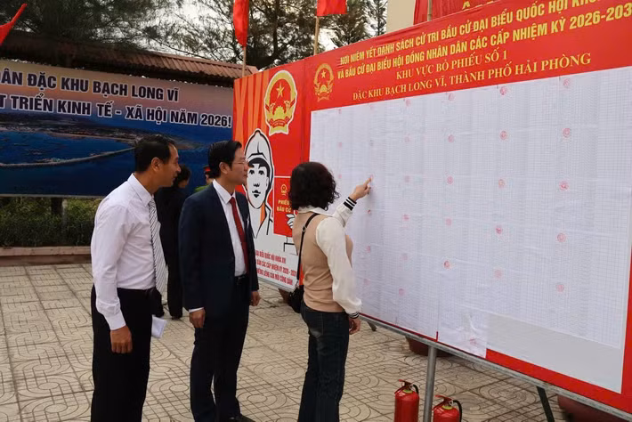 Đối với bầu cử đại biểu HĐND thành phố, đặc khu Bạch Long Vĩ thuộc đơn vị bầu cử số 9, gồm 6 phường Hải An, Đông Hải, Đồ Sơn, Nam Đồ Sơn, Dương Kinh, Hưng Đạo và hai đặc khu Cát Hải, Bạch Long Vĩ. Đơn vị bầu cử này có 8 người ứng cử, bầu 5 đại biểu.