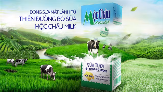 Mộc Châu Milk: Doanh thu sụt giảm, lợi nhuận chạm đáy Moc Chau Milk: Doanh thu sut giam, loi nhuan cham day