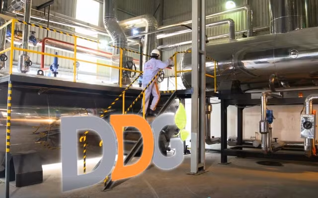 Hai sếp lớn của DDG đăng ký bán hơn 2 triệu cổ phiếu trước thềm ĐHCĐ Hai sep lon cua DDG dang ky ban hon 2 trieu co phieu truoc them DHCD