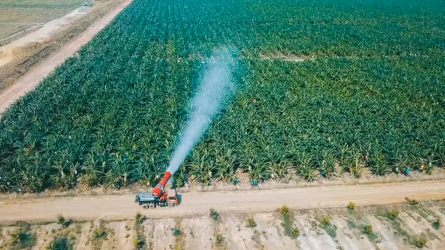 HAGL Agrico: Lỗ lũy kế hơn 8.000 tỷ đồng, dự đoán năm 2025 mới tăng trưởng HAGL Agrico: Lo luy ke hon 8.000 ty dong, du doan nam 2025 moi tang truong