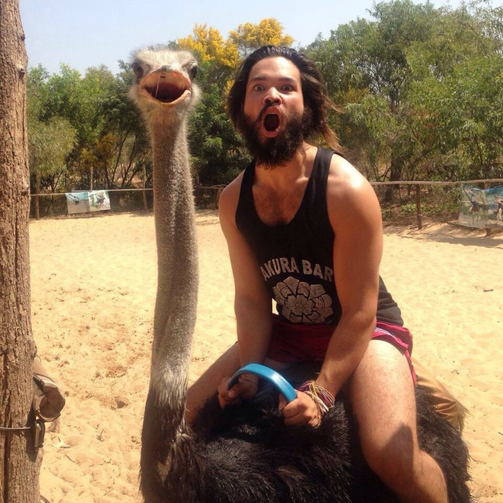 "Đừng sợ, chú đà điểu Úc này sẽ mỉm cười với bạn".