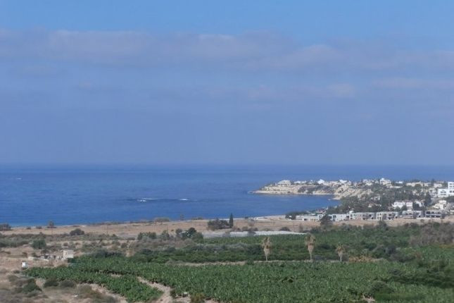 Trong thời kỳ đồ đồng, Cyprus là một trong những quốc gia giàu có nhất thế giới.