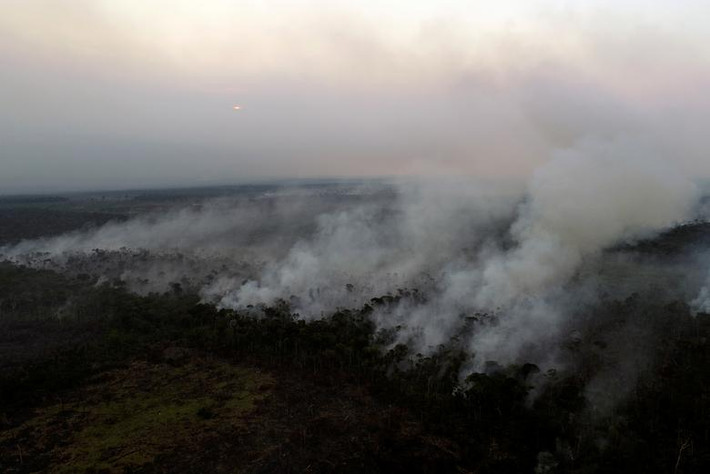 Tuy nhiên, chính quyền của Tổng thống Brazil Jair Bolsonaro được cho là đã không thể kiểm soát nạn phá rừng khi tình trạng các đám cháy vẫn lan rộng.