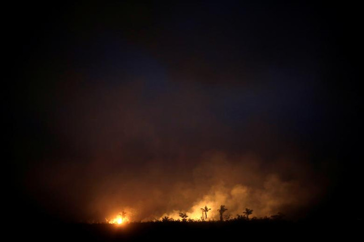 Năm ngoái, tình trạng cháy rừng Amazon, đặc biệt là tại Brazil, diễn ra nghiêm trọng.