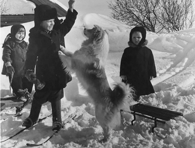 Các em nhỏ chơi đùa với một chú chó tại một trang trại tập thể ở Liên Xô những năm 1960.
