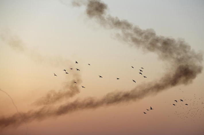 4 người được xác định đã thiệt mạng trong khi hàng chục người khác bị thương.