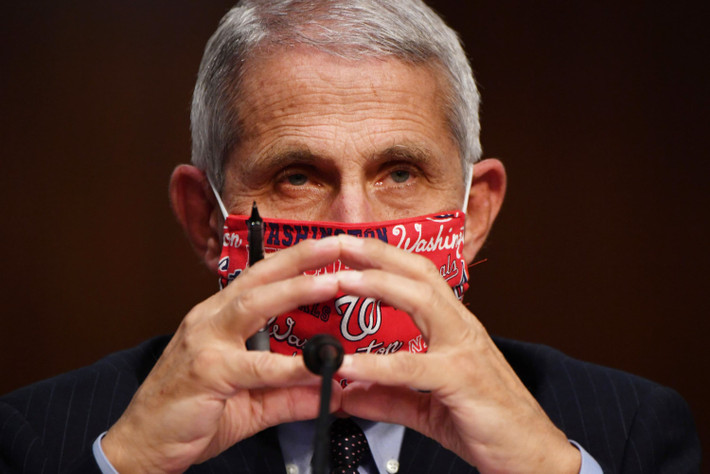 Năm 1984, ông trở thành Giám đốc Viện Dị ứng và Bệnh Truyền nhiễm Quốc gia Mỹ (NIAID), chức vụ mà ông vẫn giữ đến năm 2020. Ảnh: CNBC.