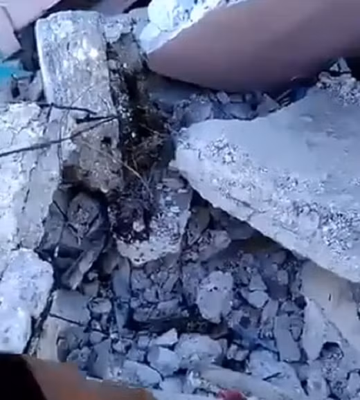 Những hình ảnh được đăng tải cho thấy, tại thị trấn Jeremie, nhiều tòa nhà bị sập một phần và đường phố ngổn ngang đống đổ nát.