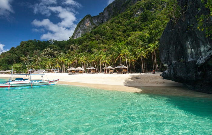 Bãi biển cát trắng trải dài với những hàng cọ.