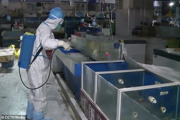 Có thể thấy, hàng chục nhân viên y tế mặc đồ bảo hộ phun thuốc khử trùng vào những gian hàng trống và xe tải tại chợ đầu mối nông sản lớn nhất Bắc Kinh. Ảnh: CCTV.