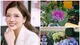 Căn nhà rực rỡ sắc hoa của Hoa hậu Phan Hoàng Thu 