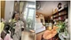 Ngôi nhà ngập sắc hoa của ca sĩ Thu Phượng và chồng Tây