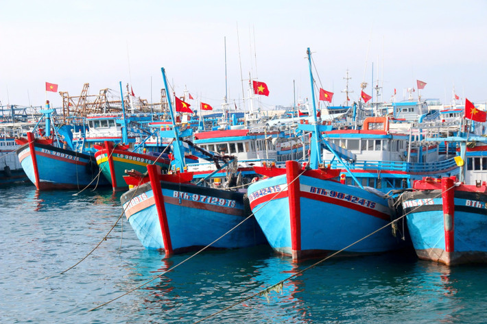 Sắc đỏ cờ Tổ quốc tung bay trên những con tàu cá tại đặc khu Phú Quý như cùng chung nhịp đập hướng về Ngày hội lớn của toàn dân. Các xã, phường ven biển tỉnh Lâm Đồng, đến nay, công tác chuẩn bị bầu cử cơ bản hoàn tất, địa phương cũng đã triển khai vận động chủ tàu, thuyền sắp xếp thời gian vào bờ trước Ngày bầu cử 2 ngày để ngư dân thực hiện quyền công dân của mình. Ảnh: LĐ.