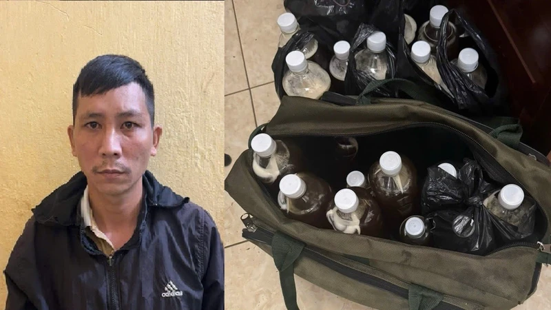 Bắt giữ đối tượng lừa dối khách hàng bằng chiêu quảng cáo mật ong rừng Kbang