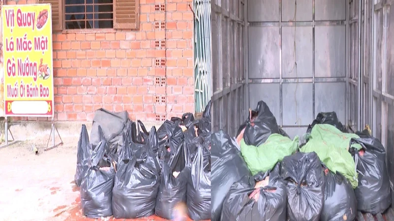 Hơn 2 tấn vịt chết bốc mùi bị phát hiện tại cơ sở kinh doanh ở TPHCM