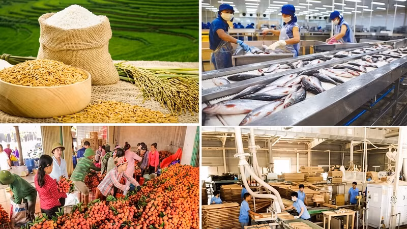 Xuất khẩu nông lâm thủy sản 4 tháng đầu năm 2026 đạt 23,04 tỷ USD