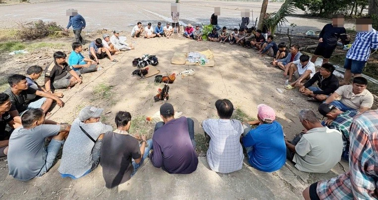 Cảnh sát Cần Thơ triệt phá trường gà quy mô lớn, tạm giữ 23 đối tượng
