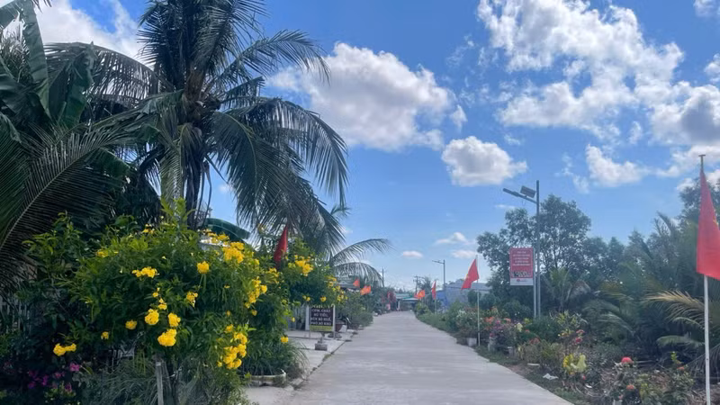 Bất ngờ ở Cà Mau: Công ty '05 ngày tuổi' 01 ngày trúng hai gói chỉ định thầu