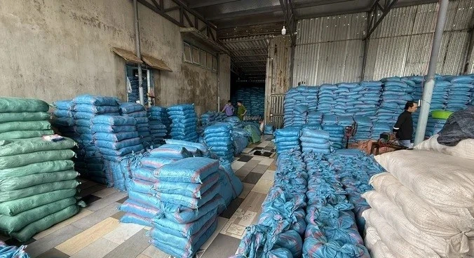 Khởi tố giám đốc doanh nghiệp sản xuất muối I-ốt giả