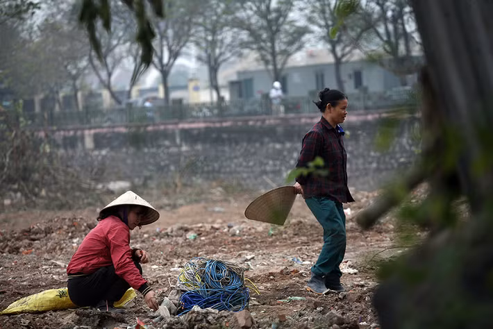 Người dân tranh thủ thu gom phế liệu.