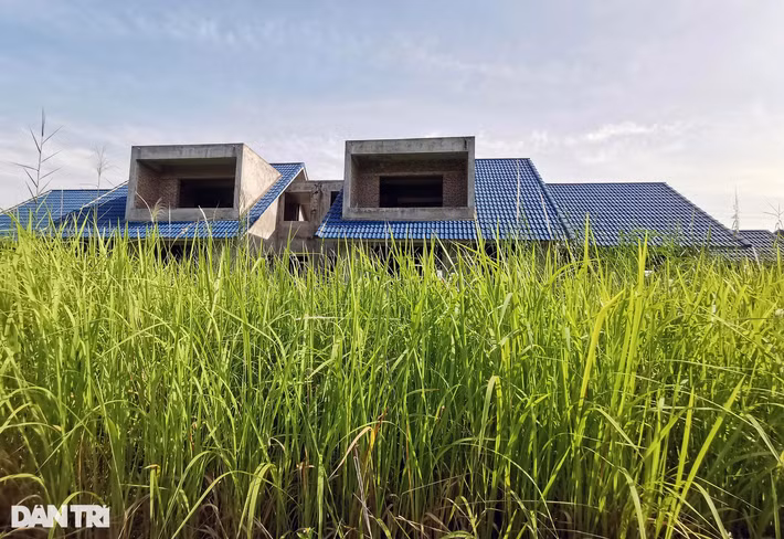 Thông tin về nguyên nhân "đắp chiếu" nhiều năm của đô thị đầm Dạ Trạch trên báo Dân Trí, đại diện Công ty Châu Linh cho biết, việc cấp Giấy chứng nhận quyền sử dụng đất, quyền sở hữu nhà gắn liền với đất của dự án Làng sinh thái, du lịch, đô thị đầm Dạ Trạch đang phát sinh vướng mắc nhiều năm chưa được giải quyết.