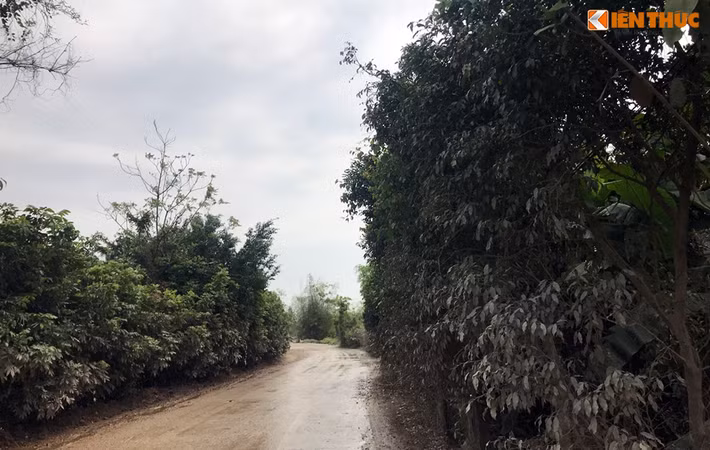 Ông Nguyễn Hồng Thanh - Phó Chủ tịch UBND xã Thanh Hương cho biết, xã đã có văn bản gửi UBND huyện Thanh Liêm; Phòng kinh tế và hạ tầng huyện Thanh Liêm; Công an huyện Thanh Liêm đề nghị xử lý việc các xe tải chở đá sét của Công ty xi măng Xuân Thành gây ô nhiễm..
