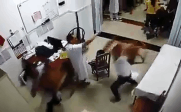 Bệnh viện là nơi cứu người nhưng côn đồ tới quậy như lãnh địa riêng - Hình 2 Benh vien la noi cuu nguoi nhung con do toi quay nhu lanh dia rieng-Hinh-2