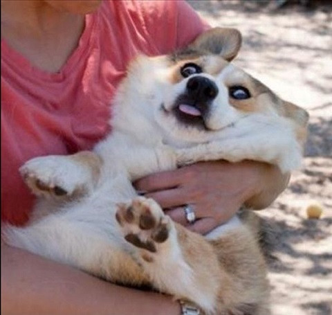 Ngạc nhiên chưa?