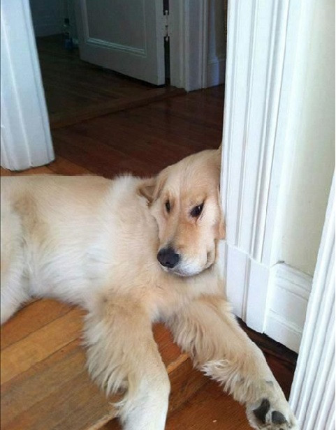 Ngẫm chuyện đời....