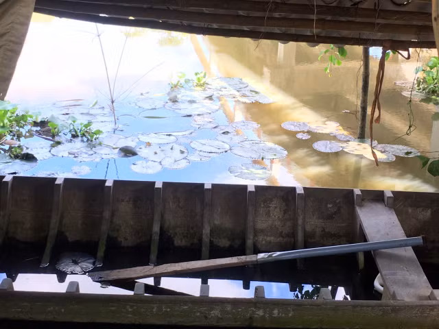 Hai nữ sinh tiểu học tử vong thương tâm dưới mé kênh gần nhà Hai nu sinh tieu hoc tu vong thuong tam duoi me kenh gan nha