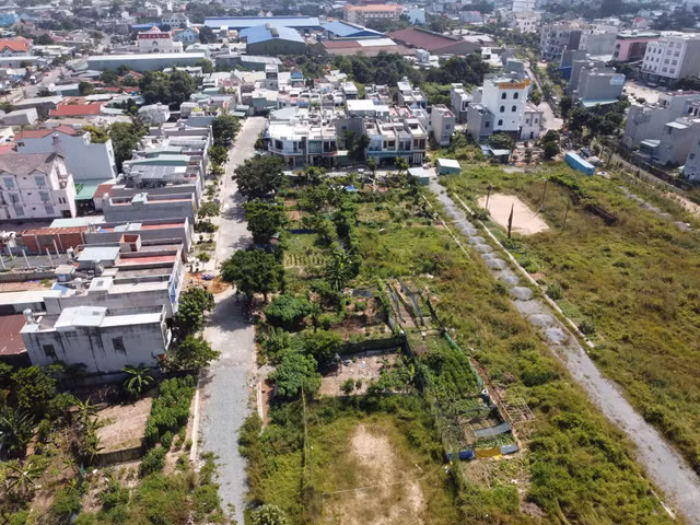 Toan canh Khu nha o thuong mai duong sat Di An dinh lum xum-Hinh-3