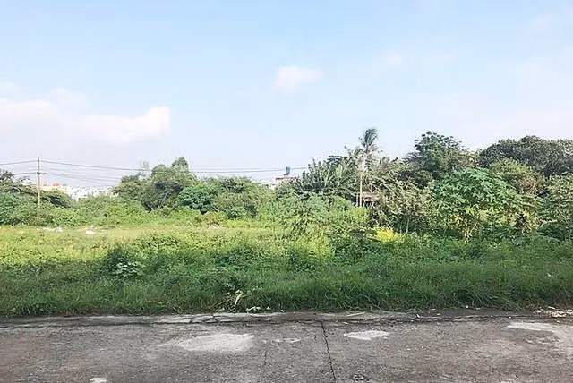 'Loạn' phân lô bán nền, Chủ tịch Bình Phước yêu cầu tạm dừng tách thửa đất nông nghiệp 'Loan' phan lo ban nen, Chu tich Binh Phuoc yeu cau tam dung tach thua dat nong nghiep