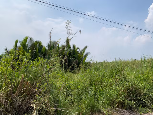 Vụ ông Nguyễn Thành Tài giao 'đất vàng': Công an đang thu thập hồ sơ về dự án Nông trường Dừa - Hình 2 Vu ong Nguyen Thanh Tai giao 'dat vang': Cong an dang thu thap ho so ve du an Nong truong Dua-Hinh-2
