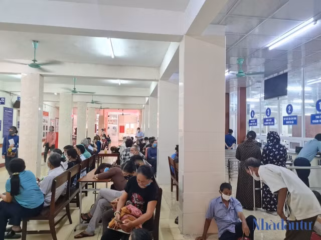 Hà Tĩnh nói gì về tỷ lệ vi phạm 100% gói thầu vật tư y tế? - Hình 2 Ha Tinh noi gi ve ty le vi pham 100% goi thau vat tu y te?-Hinh-2