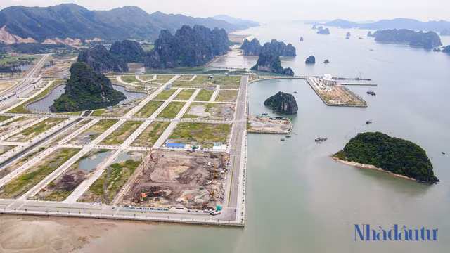 Thuong vu Bac tien nghin ty cua Cat Linh Group-Hinh-2