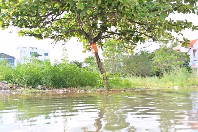 Can canh hang tram can biet thu trieu do ngap trong nuoc o Quang Ninh-Hinh-13
