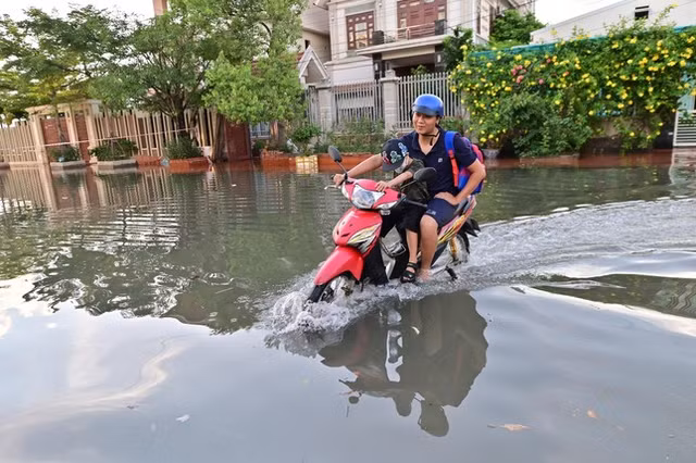 Can canh hang tram can biet thu trieu do ngap trong nuoc o Quang Ninh-Hinh-5