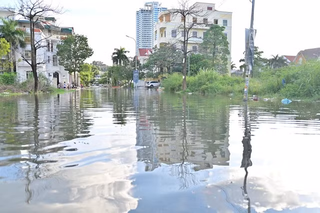 Can canh hang tram can biet thu trieu do ngap trong nuoc o Quang Ninh-Hinh-7