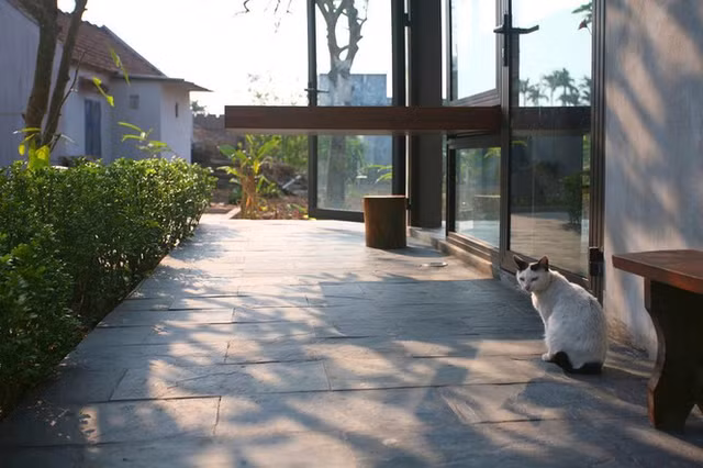 Ngoi nha 78 m2 thiet ke hien dai nhung van duom hon que-Hinh-7