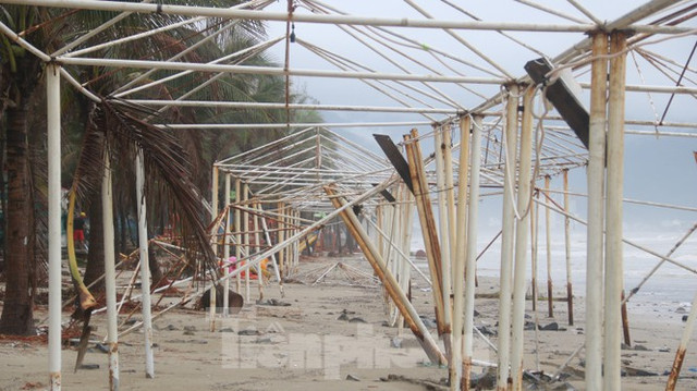 Bãi biển 'đẹp nhất hành tinh' Đà Nẵng tan hoang sau bão Vamco - Hình 11 Bai bien 'dep nhat hanh tinh' Da Nang tan hoang sau bao Vamco-Hinh-11