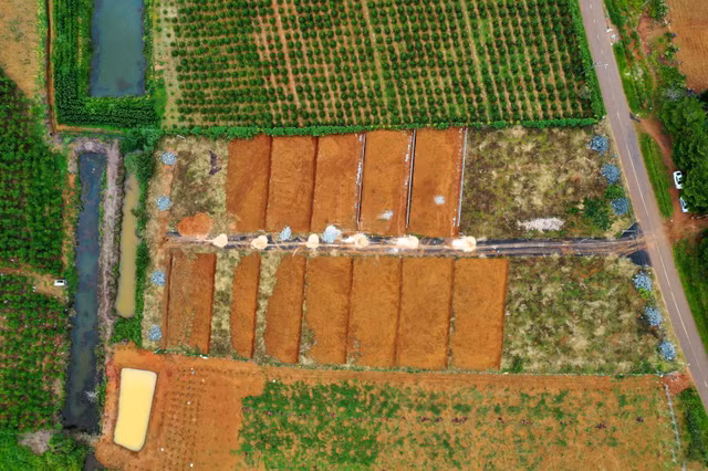 Lai mo duong, phan lo, su dung dat sai muc dich tai Lam Dong