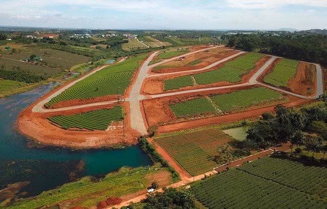 Lam Dong: Phan lo ban nen co dau hieu sai pham lien quan nhieu ca nhan, to chuc