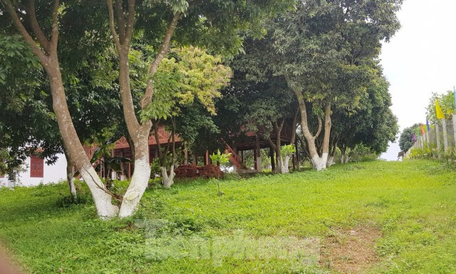 Cận cảnh biệt thự, nhà vườn trái phép lại 'mọc' trên đồi ở Ba Vì - Hình 12 Can canh biet thu, nha vuon trai phep lai 'moc' tren doi o Ba Vi-Hinh-12