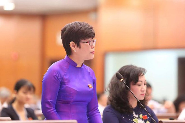 Dự án 'ma' gây náo loạn thị trường nhà đất TP HCM - Hình 2 Du an 'ma' gay nao loan thi truong nha dat TP HCM-Hinh-2