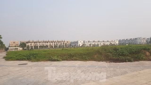 Bitexco mang 14 lo dat du an doi ung BT 'ty do' the chap ngan hang-Hinh-2