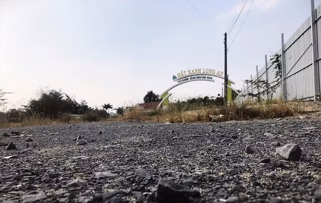 Tim bi hai lien quan vu lua dao tai Dat Xanh Long An