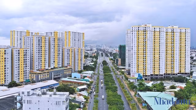 Diem ten loat ong lon dia oc bao lo quy dau nam