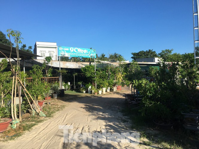 Vì sao công ty Thanh Niên Cam Ranh được ưu ái cho thuê 'đất vàng' SVĐ Cam Ranh với giá bèo? - Hình 2 Vi sao cong ty Thanh Nien Cam Ranh duoc uu ai cho thue 'dat vang' SVD Cam Ranh voi gia beo?-Hinh-2