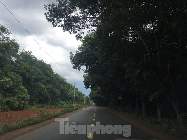 Cận cảnh khu đất hơn 1,8 nghìn ha đang thu hồi làm sân bay Long Thành - Hình 4 Can canh khu dat hon 1,8 nghin ha dang thu hoi lam san bay Long Thanh-Hinh-4