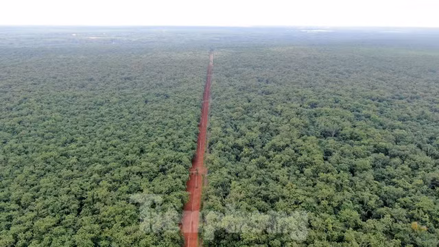 Can canh khu dat hon 1,8 nghin ha dang thu hoi lam san bay Long Thanh-Hinh-2